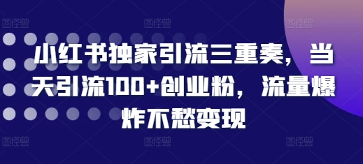 小红书独家引流三重奏，当天引流100+创业粉，流量爆炸不愁变现【揭秘】_海蓝资源库