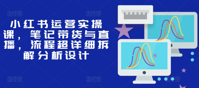 小红书运营实操课，笔记带货与直播，流程超详细拆解分析设计_海蓝资源库