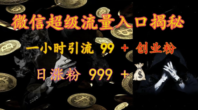 微信超级流量入口揭秘：一小时引流 99 + 创业粉，日涨粉 999 +_海蓝资源库