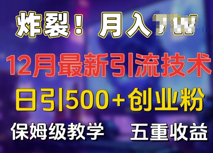 炸裂!揭秘12月最新日引流500+精准创业粉，多重收益保姆级教学_海蓝资源库