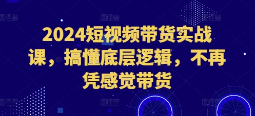 2024短视频带货实战课，搞懂底层逻辑，不再凭感觉带货_海蓝资源库