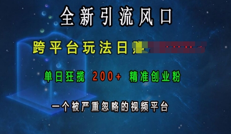 全新引流风口，跨平台玩法日入上k，单日狂揽200+精准创业粉，一个被严重忽略的视频平台_海蓝资源库