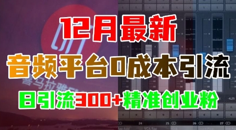 12月最新：音频平台0成本引流，日引流300+精准创业粉_海蓝资源库