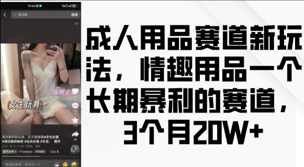 成人用品赛道新玩法，情趣用品一个长期暴利的赛道，3个月收益20个【揭秘】_海蓝资源库