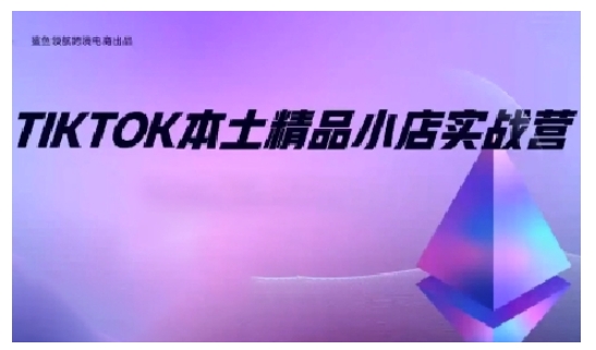 TikTok本土精品小店出海实战营，从入门到高阶，不止0-1!_海蓝资源库