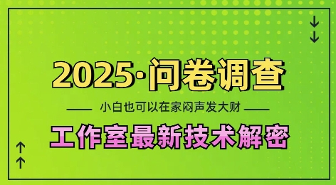 2025问卷调查最新工作室技术解密：一个人在家也可以闷声发大财，小白一天2张，可矩阵放大【揭秘】_海蓝资源库