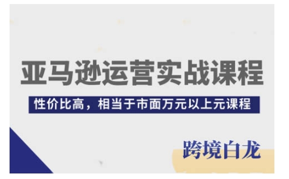 亚马逊运营实战课程，亚马逊从入门到精通，性价比高，相当于市面万元以上元课程_海蓝资源库