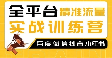 全平台精准流量实战训练营，百度微信抖音小红书SEO引流教程——生财有道创业项目网_海蓝资源库