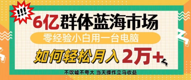 6亿群体蓝海市场，零经验小白用一台电脑，如何轻松月入过w【揭秘】——生财有道创业项目网_海蓝资源库