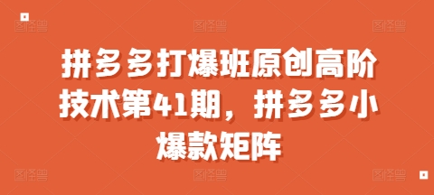 拼多多打爆班原创高阶技术第41期，拼多多小爆款矩阵_海蓝资源库