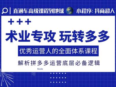 术业专攻玩转多多，优秀运营人的全面体系课程，解析拼多多运营底层必备逻辑_海蓝资源库