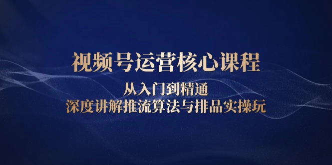 （13863期）视频号运营核心课程，从入门到精通，深度讲解推流算法与排品实操玩_海蓝资源库