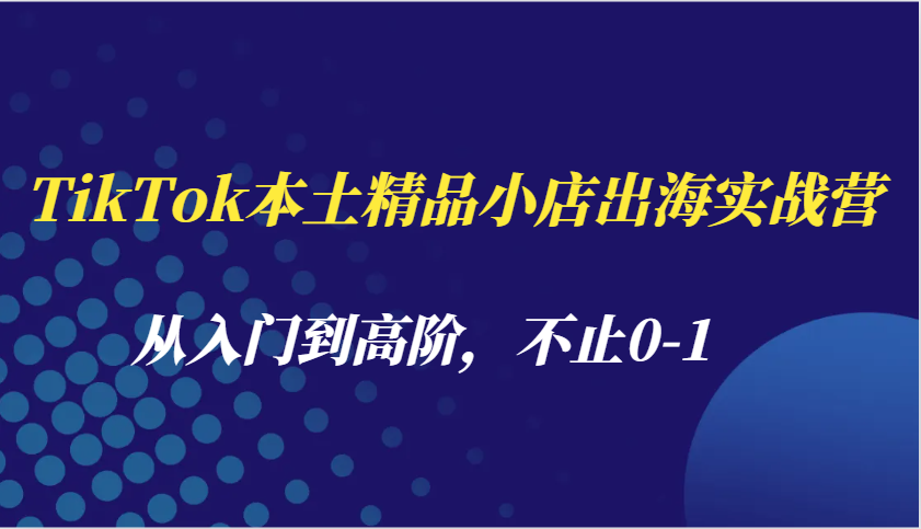 TikTok本土精品小店出海实战营，从入门到高阶，不止0-1_海蓝资源库