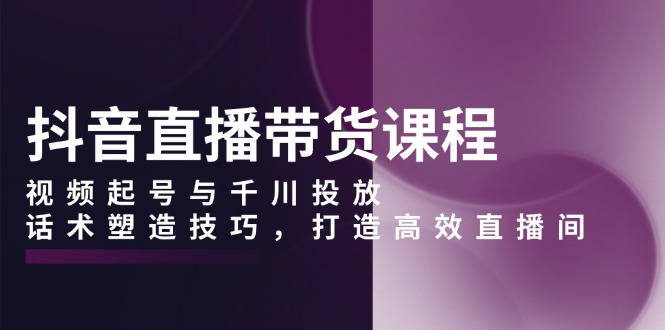 （13848期）抖音直播带货课程，视频起号与千川投放，话术塑造技巧，打造高效直播间_海蓝资源库