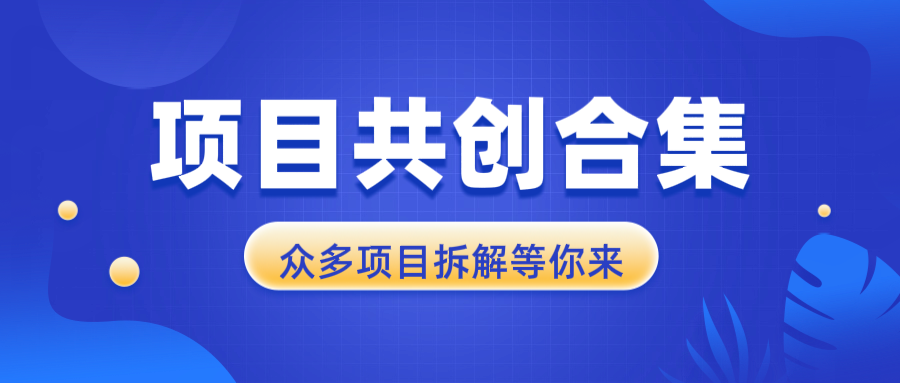 （13778期）项目共创合集，从0-1全过程拆解，让你迅速找到适合自已的项目_海蓝资源库