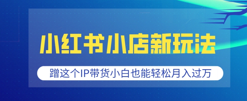 小红书小店新玩法，蹭这个IP带货，小白也能轻松月入过W【揭秘】——生财有道创业项目网_海蓝资源库