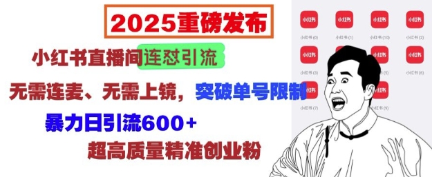 2025重磅发布：小红书直播间连怼引流，无需连麦、无需上镜，突破单号限制，暴力日引流600+——生财有道创业项目网_海蓝资源库