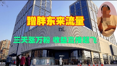 蹭胖东来流量，三天涨万粉，收益直接起飞——海蓝资源创业项目网-海蓝资源_海蓝资源库