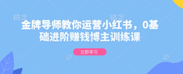 金牌导师教你运营小红书，0基础进阶赚钱博主训练课——生财有道创业项目网_海蓝资源库