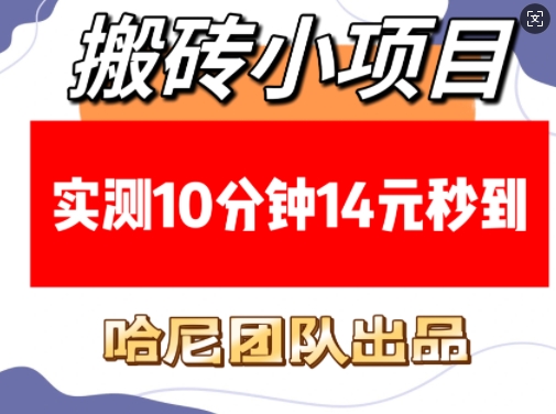 搬砖小项目，实测10分钟14元秒到，每天稳定几张(赠送必看稳定)——生财有道创业项目网_海蓝资源库