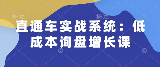 直通车实战系统：低成本询盘增长课，让个人通过技能实现升职加薪，让企业低成本获客，订单源源不断——海蓝资源创业项目网-海蓝资源_海蓝资源库