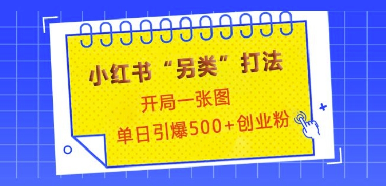 小红书“另类”打法，开局一张图，单日引爆500+精准创业粉【揭秘】_海蓝资源创业网-海蓝资源_海蓝资源库