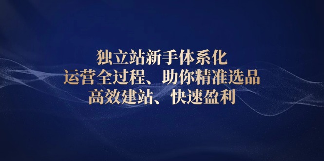 （13914期）独立站新手体系化 运营全过程，助你精准选品、高效建站、快速盈利_海蓝资源库