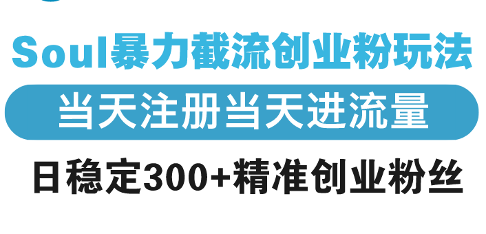 （13935期）Soul暴力截流创业粉玩法，当天注册当天进流量，日稳定300+精准创业粉丝_海蓝资源创业项目网-海蓝资源_海蓝资源库