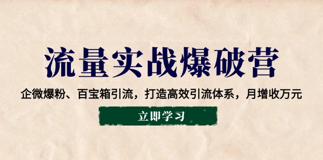 （14039期）流量实战爆破营：企微爆粉、百宝箱引流，打造高效引流体系，月增收万元_海蓝资源库