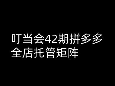 叮当会拼多多打爆班原创高阶技术第42期，拼多多全店托管矩阵——海蓝资源创业项目网-海蓝资源_海蓝资源库