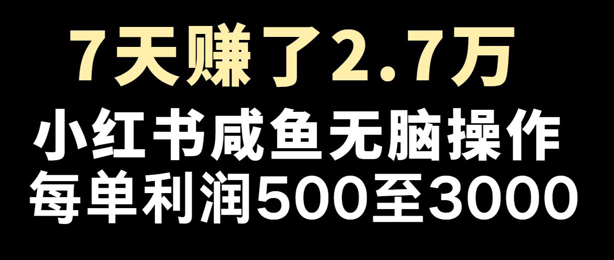 （14183期）最赚钱项目之一，2025爆火，逆风翻盘！_海蓝资源创业项目网-海蓝资源_海蓝资源库